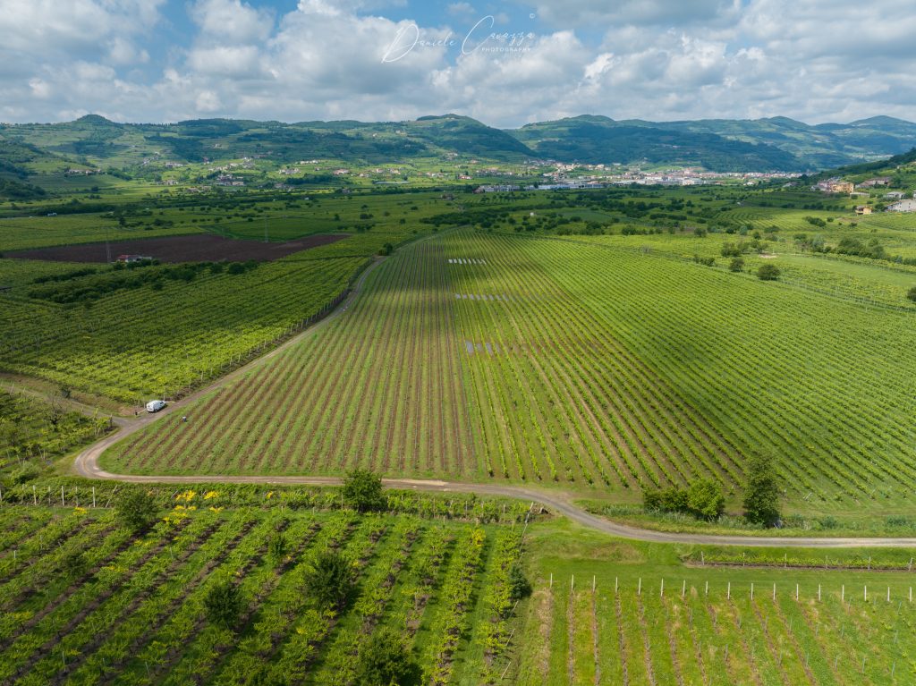 DJI_0140-2